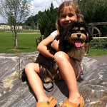 Cavapoo In Maryland